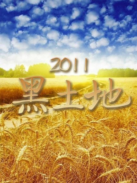 黑土地2019